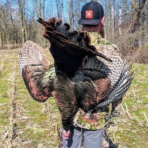 Meet your Posher, Asa